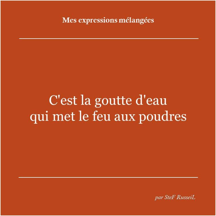 Expressions et citations mélangées SteF RusseiL Auteur