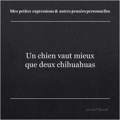 Expressions et pensées personnelles SteF RusseiL Auteur